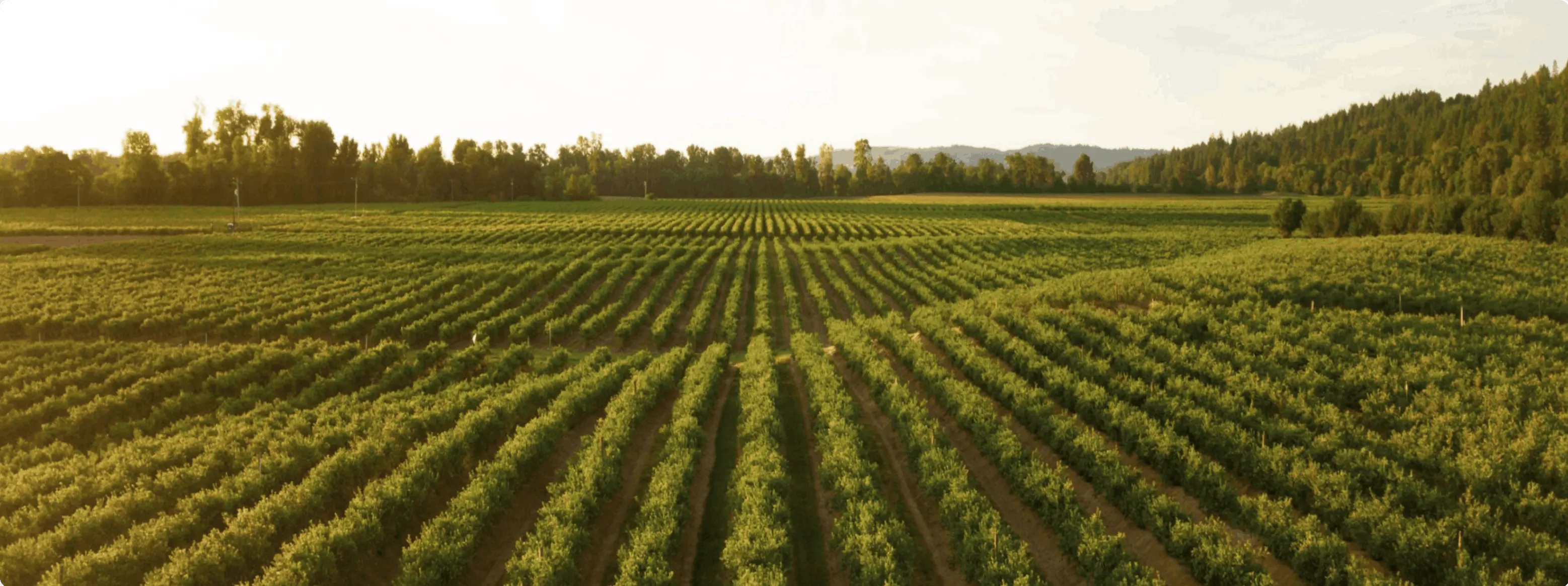 Arya.ag Smart Farm Centres